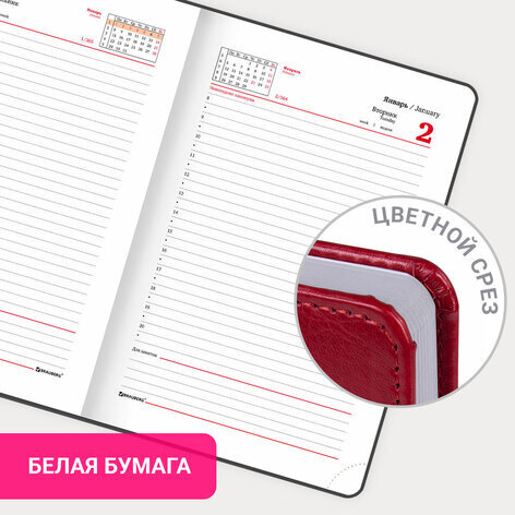 Ежедневник датированный 2024 А5 138x213 мм, BRAUBERG "Rainbow", под кожу, красный, 114870