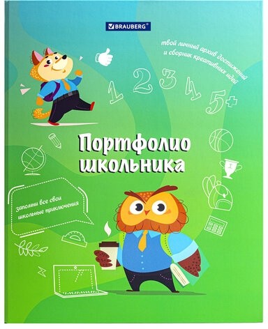 Папка-портфолио школьника "ОТЛИЧНИК", 4 кольца, 20 файлов, 10 вкладышей, 7БЦ матовая, BRAUBERG, 115240