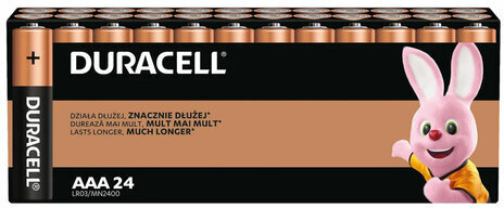 Батарейки КОМПЛЕКТ 24 шт., DURACELL Basic ОРИГИНАЛ, ААА (LR03, 24А), алкалиновые, мизинчиковые, Б0064969