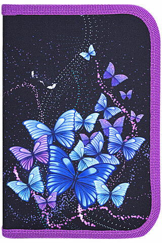 Пенал BRAUBERG, 1 отделение, 1 откидная планка, полиэстер, 21х14 см, "Fly Always", 271520