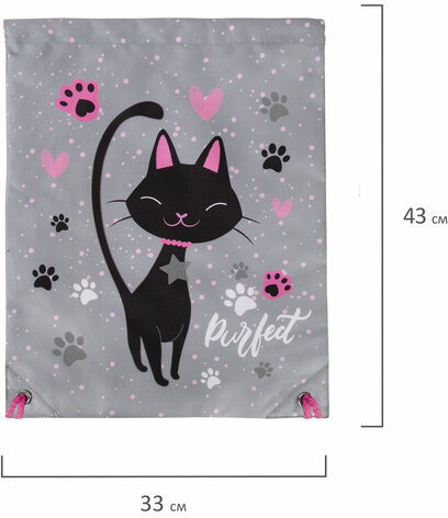 Мешок для обуви BRAUBERG PREMIUM, карман, подкладка, светоотражайка, 43х33 см, "Elegant cat", 271620