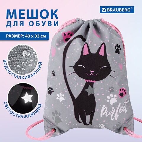 Мешок для обуви BRAUBERG PREMIUM, карман, подкладка, светоотражайка, 43х33 см, "Elegant cat", 271620