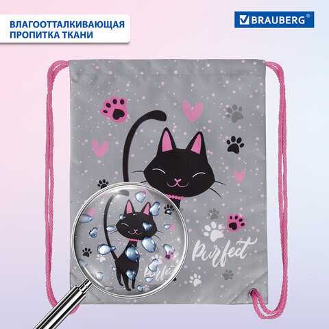 Мешок для обуви BRAUBERG PREMIUM, карман, подкладка, светоотражайка, 43х33 см, "Elegant cat", 271620