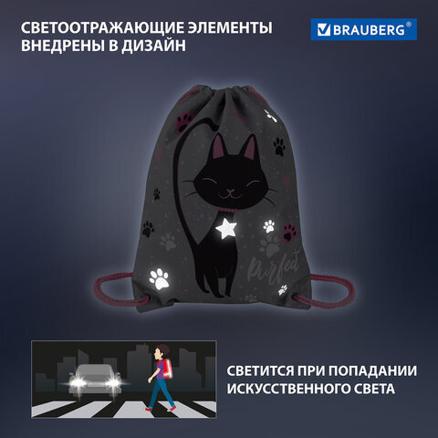Мешок для обуви BRAUBERG PREMIUM, карман, подкладка, светоотражайка, 43х33 см, "Elegant cat", 271620