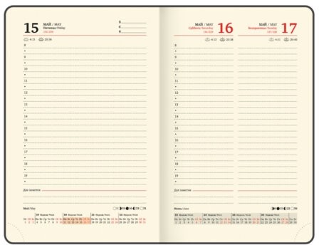 Ежедневник датированный 2026, МАЛЫЙ ФОРМАТ 100х150 мм, А6, BRAUBERG "Iguana", под кожу, черный, 117252