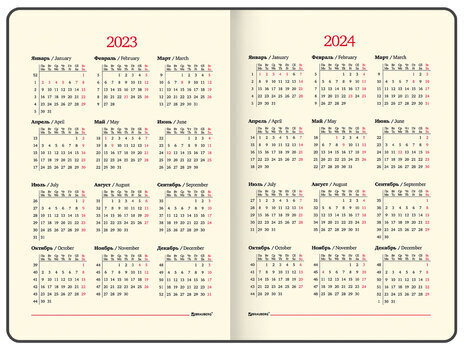 Еженедельник датированный 2023 А5 145х215 мм BRAUBERG "Augustus", красный, 113942