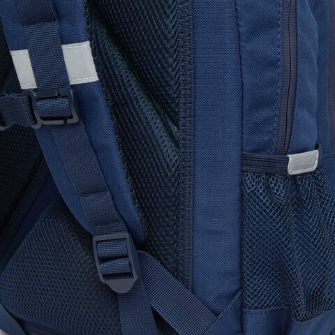 Рюкзак GRIZZLY школьный, анатомическая спинка, 2 отделения, для девочек, "CAMOMILE", 40х27х20 см, RG-260-2/1