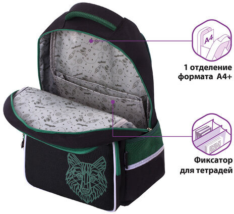 Рюкзак ЮНЛАНДИЯ COMPLETE, с пеналом в комплекте, эрго-спинка, "Wolf", 42х29х14 см, 270665