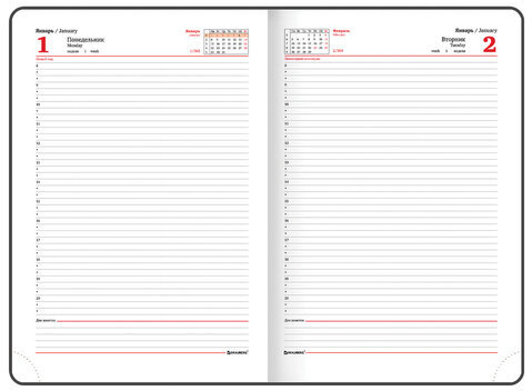 Ежедневник датированный 2024 БОЛЬШОЙ ФОРМАТ 210х297 мм А4, BRAUBERG "Favorite", под кожу, зеленый, 114771