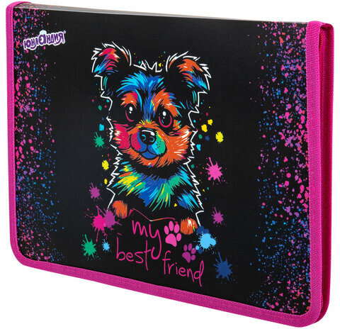 Папка для труда на молнии ЮНЛАНДИЯ А4, 1 отделение, откидная планка, органайзер, "True friend", 272221