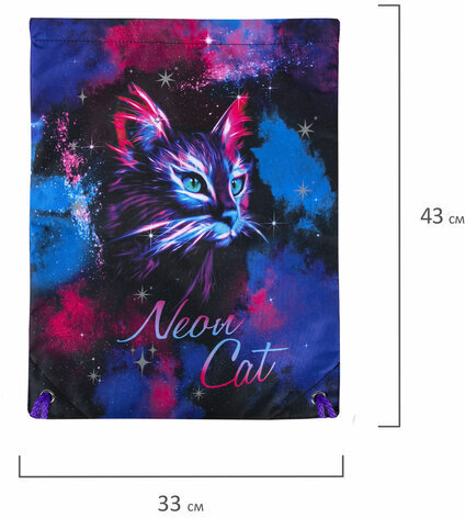 Мешок для обуви BRAUBERG PREMIUM, карман, подкладка, светоотражайка, 43х33 см, "Neon cat", 271621