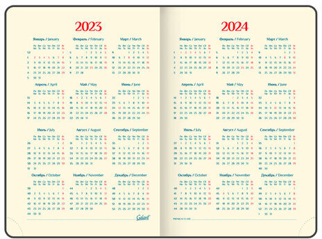 Ежедневник датированный 2023 А5 148х218 мм GALANT "Magnetic", клапан, черный, 114163