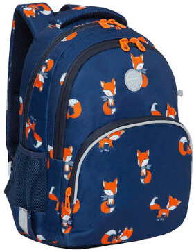 Рюкзак GRIZZLY школьный, анатомическая спинка, с пеналом в комплекте, для девочек, &quot;FOXES&quot;, 40х27х20 см, RG-260-6/1