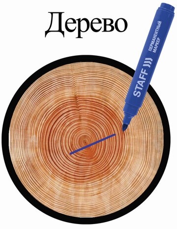 Маркер перманентный (нестираемый) STAFF "Basic" PM-733, СИНИЙ, круглый наконечник, 2,5 мм, 150732