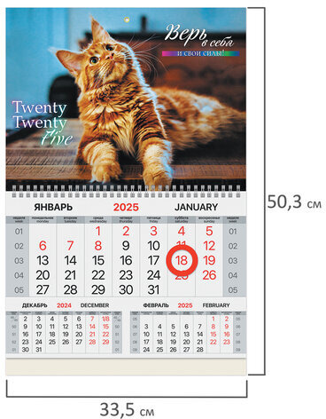 Календарь квартальный на 2025 г., 1 блок, 1 гребень, магнитный курсор, мелованная бумага, BRAUBERG, "Котик", 116080