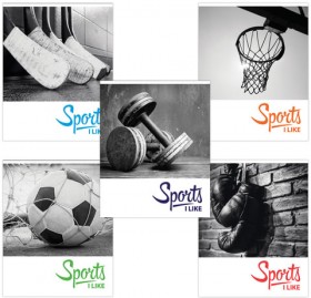 Тетрадь А5, 48 л., BRAUBERG, клетка, обложка картон, СПОРТ, 403035