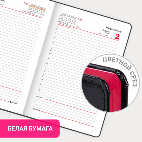 Ежедневник датированный 2024 А5 138x213 мм, BRAUBERG "Rainbow", под кожу, черный, 114872