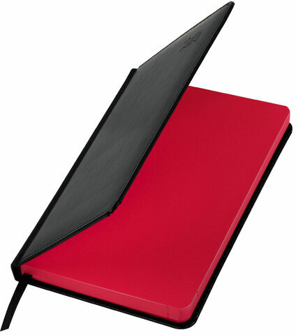 Ежедневник датированный 2024 А5 138x213 мм, BRAUBERG "Rainbow", под кожу, черный, 114872