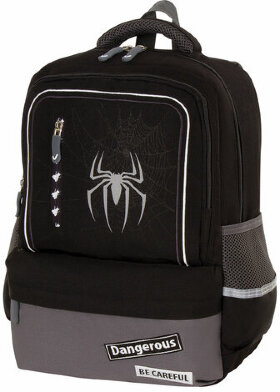 Рюкзак BRAUBERG STAR, 1 отделение, 5 карманов, "Spider", черный, 40х29х13 см, 229978