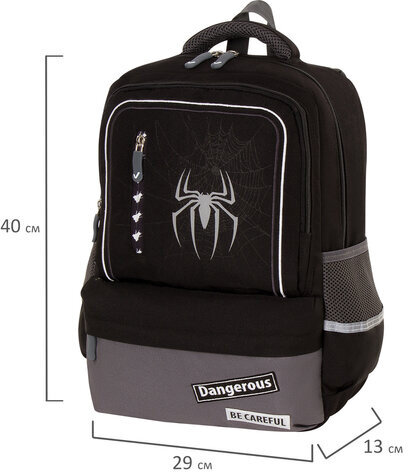 Рюкзак BRAUBERG STAR, 1 отделение, 5 карманов, "Spider", черный, 40х29х13 см, 229978
