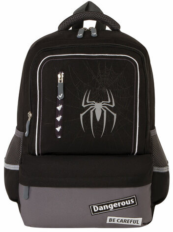 Рюкзак BRAUBERG STAR, 1 отделение, 5 карманов, "Spider", черный, 40х29х13 см, 229978