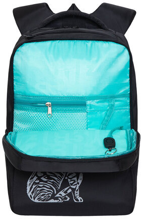 Рюкзак GRIZZLY школьный, анатомическая спинка, 2 отделения, для девочек, "KITTEN", 39х26х17 см, RG-266-3/1