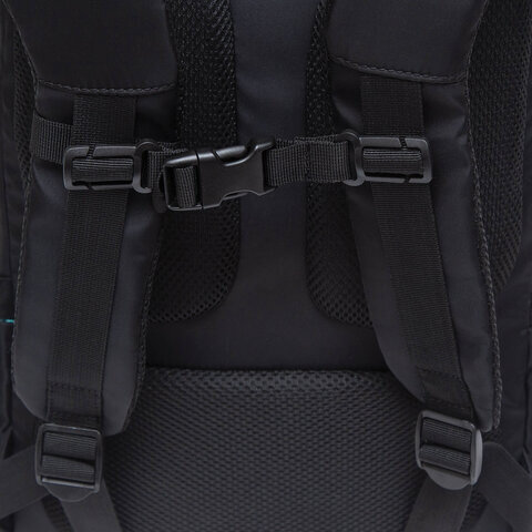 Рюкзак GRIZZLY школьный, анатомическая спинка, 2 отделения, для девочек, "KITTEN", 39х26х17 см, RG-266-3/1