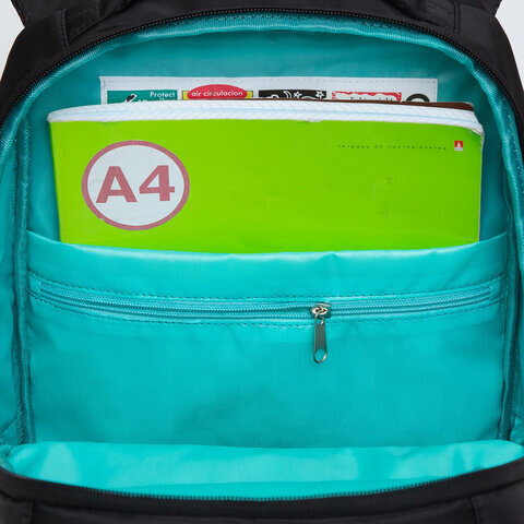 Рюкзак GRIZZLY школьный, анатомическая спинка, 2 отделения, для девочек, "KITTEN", 39х26х17 см, RG-266-3/1