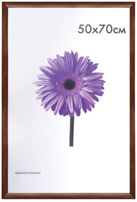 Рамка премиум 50х70 см, дерево, багет 26 мм, &quot;Berta&quot;, орех, 0006-50-0006