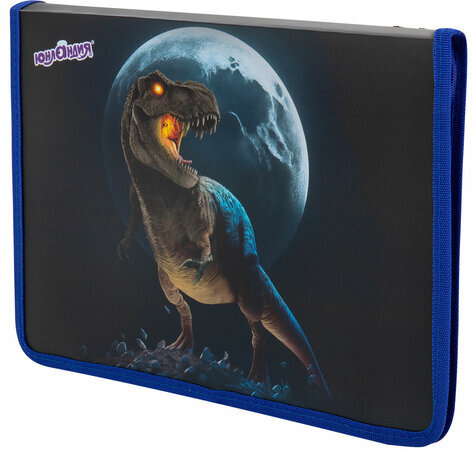 Папка для труда на молнии ЮНЛАНДИЯ А4, 1 отделение, откидная планка, органайзер, "Beware", 272224