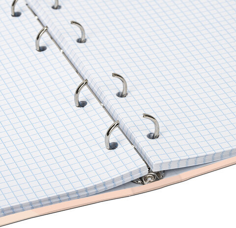 Тетрадь на кольцах А5 165х215 мм, 120 л., твердый картон, клетка, BRAUBERG, "Девушка", 404076