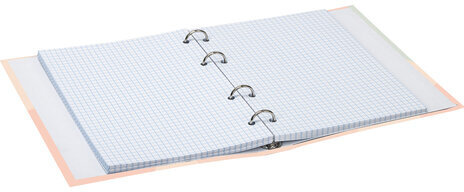 Тетрадь на кольцах А5 165х215 мм, 120 л., твердый картон, клетка, BRAUBERG, "Девушка", 404076