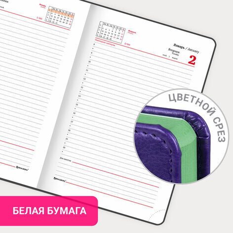 Ежедневник датированный 2024 А5 138x213 мм, BRAUBERG "Rainbow", под кожу, сиреневый, 114873