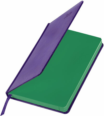 Ежедневник датированный 2024 А5 138x213 мм, BRAUBERG "Rainbow", под кожу, сиреневый, 114873