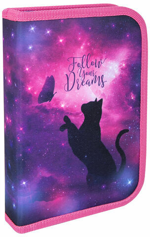 Пенал BRAUBERG, 1 отделение, 1 откидная планка, полиэстер, 21х14 см, "Space cat", 270712