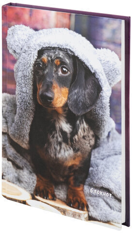 Блокнот А5 (135х206 мм), 80 л., твердый, клетка, STAFF, &quot;Милый пёс&quot;, 111600