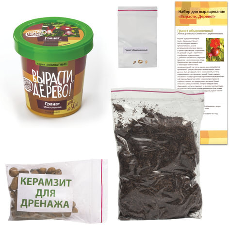 Набор для выращивания растений ВЫРАСТИ ДЕРЕВО! "Гранат обыкновенный" (банка, грунт, семена), zk-014