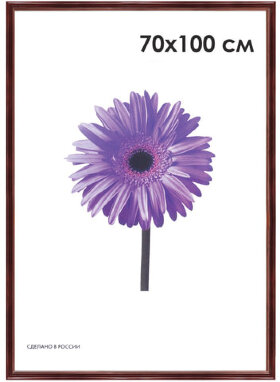 Рамка премиум 70х100 см, дерево, багет 26 мм, &quot;Linda&quot;, махагон, 0065-70-0019