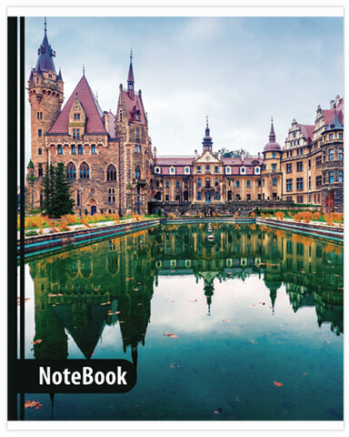 Тетрадь А5, 48 л., BRAUBERG, линия, обложка картон, МИКС, 403040