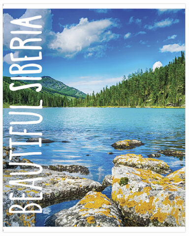 Тетрадь А5, 48 л., BRAUBERG, линия, обложка картон, МИКС, 403040