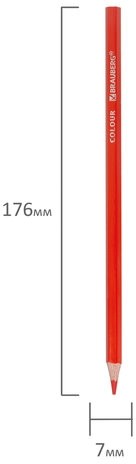 Карандаши цветные BRAUBERG PREMIUM, 36 цветов, шестигранные, грифель мягкий 3,3 мм, 181659
