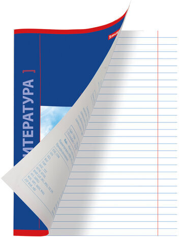 Тетрадь предметная NAVIGATOR 48 листов, выборочный лак, ЛИТЕРАТУРА, линия, подсказ, BRAUBERG, 403544