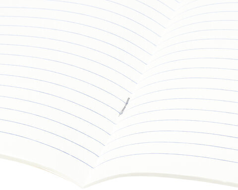 Тетрадь предметная NAVIGATOR 48 листов, выборочный лак, ЛИТЕРАТУРА, линия, подсказ, BRAUBERG, 403544