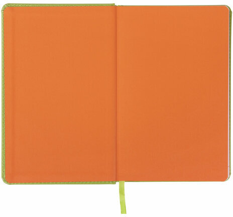 Ежедневник датированный 2024 А5 138x213 мм, BRAUBERG "Rainbow", под кожу, зеленый, 114874
