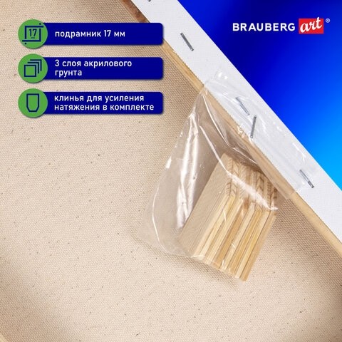 Холст на подрамнике 24х30 см, 380 г/м2, грунтованный, 100% хлопок, BRAUBERG ART, 192195