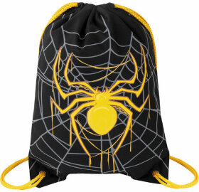 Мешок для обуви BRAUBERG PREMIUM, карман, подкладка, светоотражайка, 43х33 см, &quot;Venomous spider&quot;, 271624