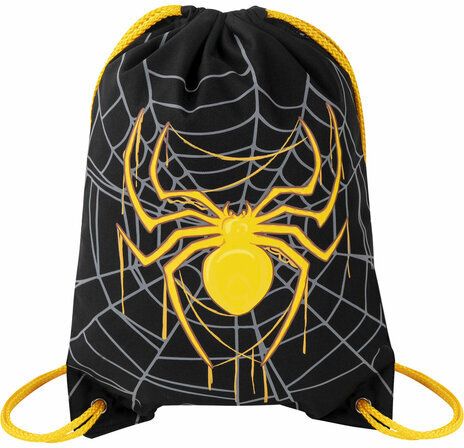 Мешок для обуви BRAUBERG PREMIUM, карман, подкладка, светоотражайка, 43х33 см, "Venomous spider", 271624