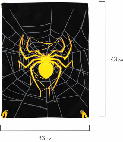 Мешок для обуви BRAUBERG PREMIUM, карман, подкладка, светоотражайка, 43х33 см, "Venomous spider", 271624