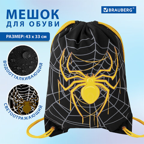 Мешок для обуви BRAUBERG PREMIUM, карман, подкладка, светоотражайка, 43х33 см, "Venomous spider", 271624