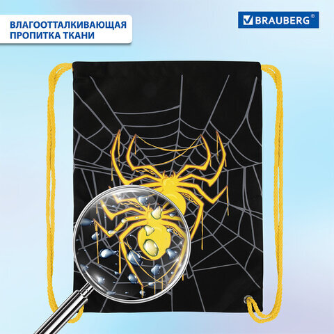 Мешок для обуви BRAUBERG PREMIUM, карман, подкладка, светоотражайка, 43х33 см, "Venomous spider", 271624
